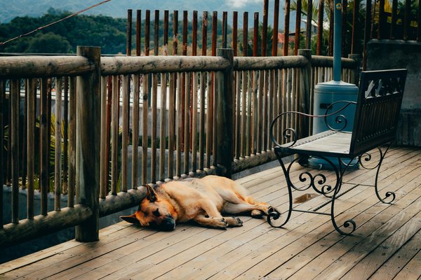 Choisir des lames de terrasse en composite : guide pratique